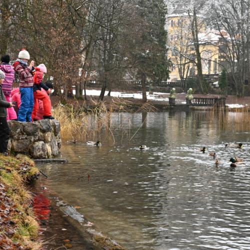  enten