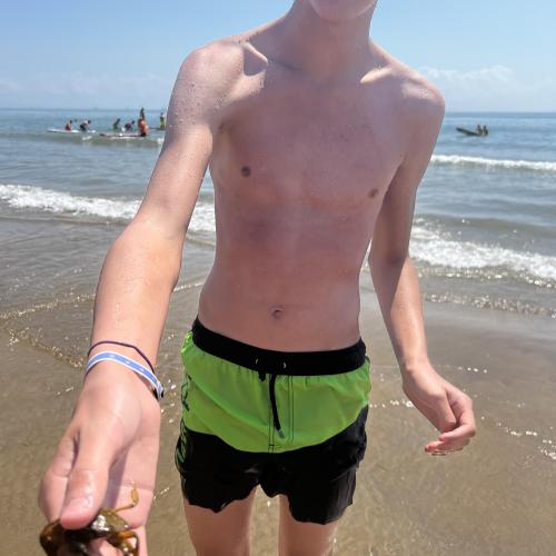 Crab