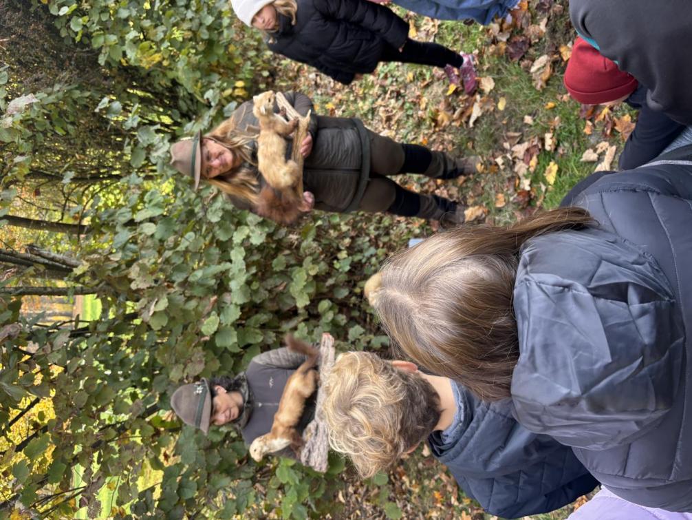 © MS Brixlegg Jäger