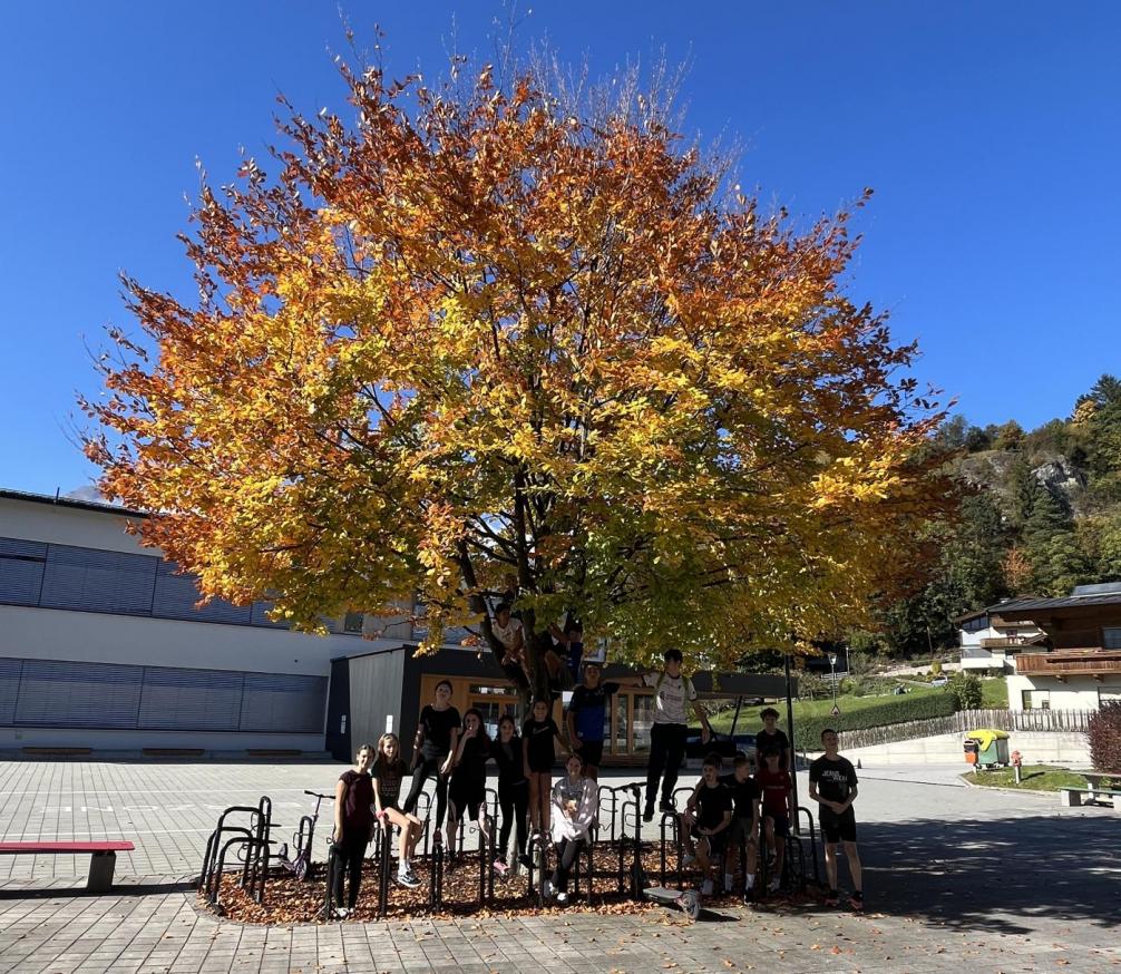 herbst