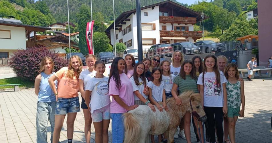 Pony in der Schule